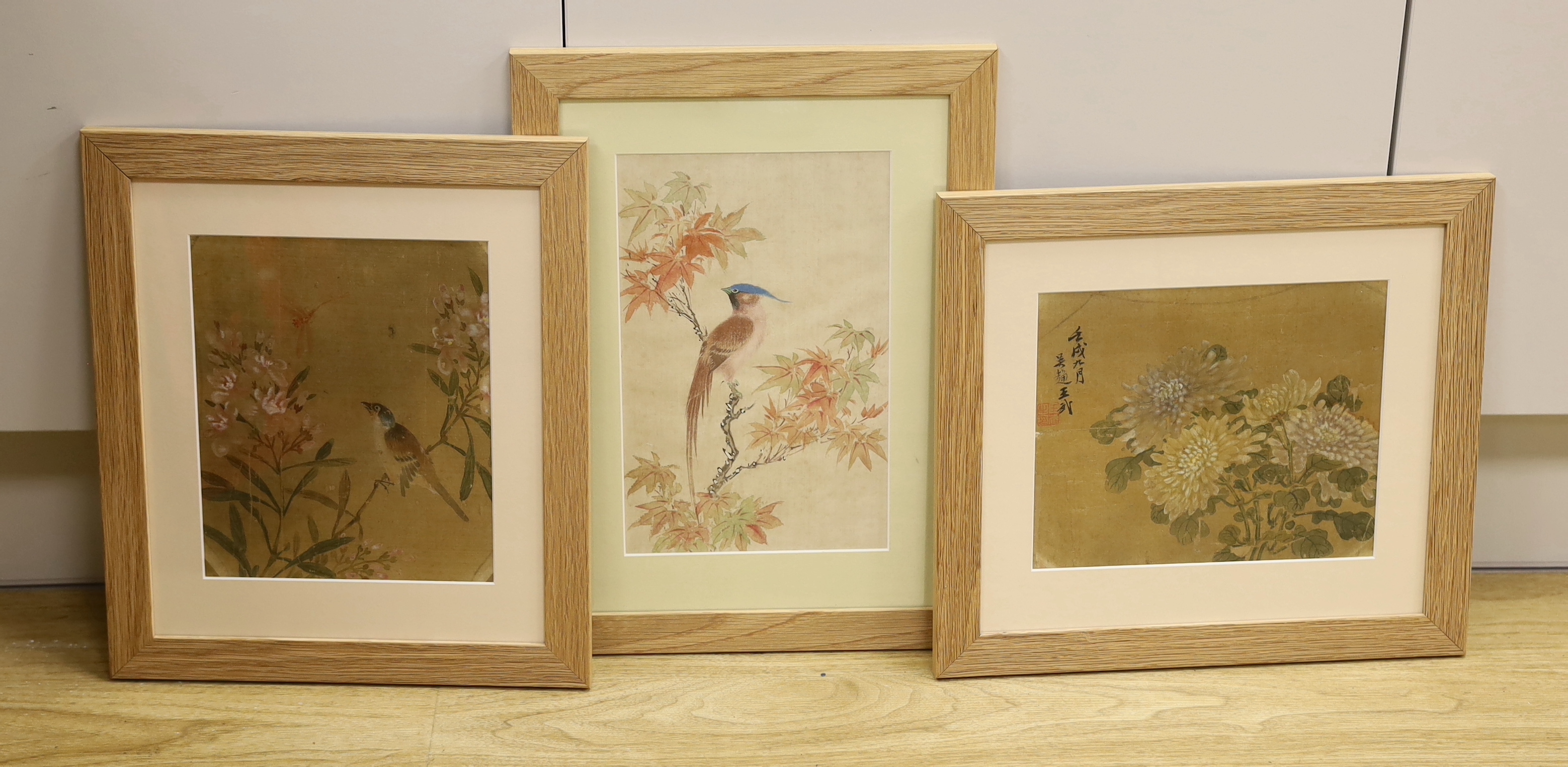 18th / 19th century Chinese School, three watercolours on silk, Birds of Paradise and flowers, largest 26 x 16cm